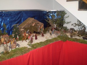 OLYMPUS DIGITAL CAMERA