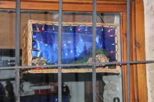 oiana gomez herrero2